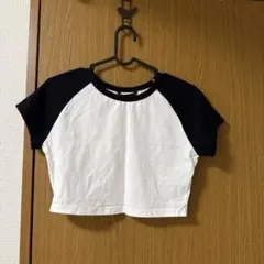 ホワイト/ブラック ラグランTシャツ 半袖