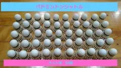 バドミントンシャトル★ 50個セット★野球練習★ハンドメイド