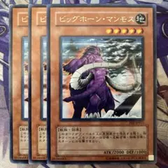 遊戯王 ビッグホーン・マンモス 旧アジア版 レリーフ 2025年最新】ビッグホーンマンモスの人気アイテム - メルカリ