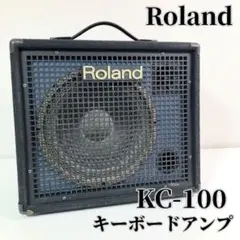 2025年最新】roland KC-100の人気アイテム - メルカリ