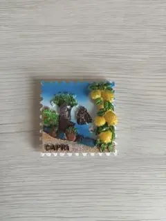 マグネットお土産
