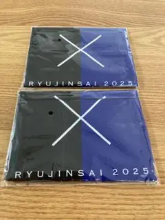 RYUJINSAI 2025 中日ドラゴンズ×氣志團コラボ手ぬぐい　2枚セット