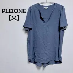 Item thumbnail for item b6fde11f-1dcc-4a46-bd0d-ef1b3f58091c