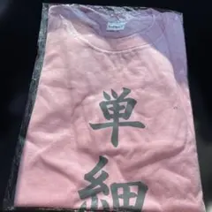 Item thumbnail for item 39729673-dd20-4747-ac77-1efbbf905128
