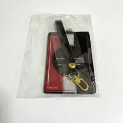 仮面ライダー ICカードケース
