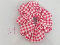 シュシュ [24]