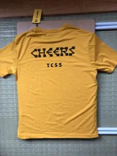 Critical Slide ーTCSSマンゴー