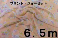 Item thumbnail for item 3bcbcce8-e786-4374-b79b-61312c37d4ef