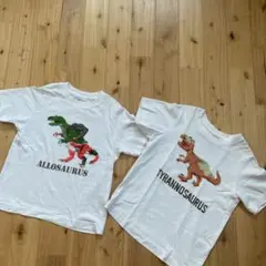 恐竜Tシャツ 2枚セット☆
