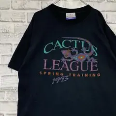 USA製90sヴィンテージTシャツ！シングルステッチ　ブラック半袖古着XL729