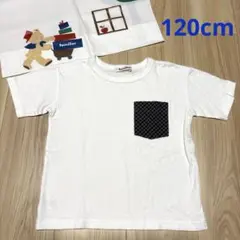 Item thumbnail for item e461403a-6c56-4acc-93a4-05947c01ed36