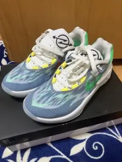 NIKE Air Zoom G.T. Cut 2 25.5cm