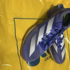 Item thumbnail for item f007018f-13f8-4a15-bd77-daae2f46e73c