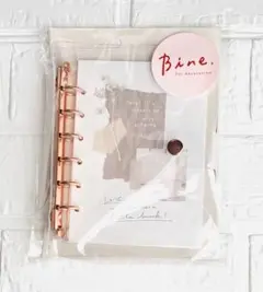 Item thumbnail for item 8395a1d3-4792-413e-af27-b2b6b0845675