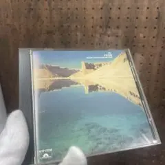 SECOND THOUGHTS / PRISM