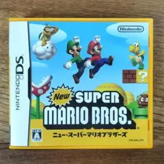 ニンテンドーDS ソフト ニュースーパーマリオブラザーズ ✩起動確認済み✩
