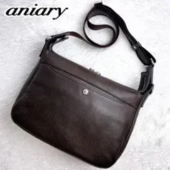極美品✨aniary ショルダーバッグ シュリンクレザー シボ ダークブラウン
