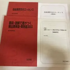 駿台講習テキスト 自由英作文のエッセンス・頻出英単語300