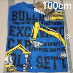 Item thumbnail for item 6a0aec72-7b3e-4b4b-8514-84f74171a209