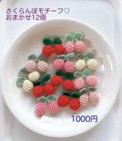 さくらんぼモチーフ♡おまかせ12個