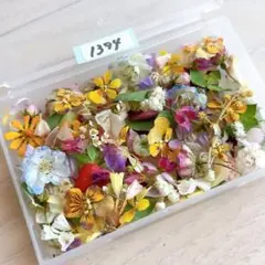 1394 たっぷりドライフラワー詰め合わせ