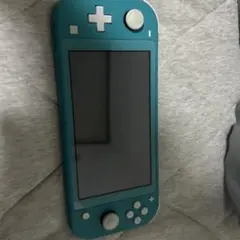 Nintendo Switch Lite 動作確認済み