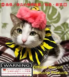 Item thumbnail for item 798caae8-05c2-4ff3-b780-0af100da1a30