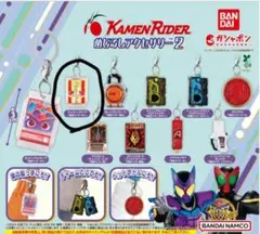 仮面ライダーめじるしアクセサリー2