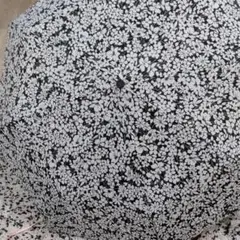 折りたたみバーバリーワンタッチ傘