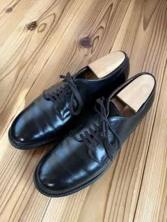 Alden 53711 Black Calfskin Plain Toe Dover | Alden Model Project