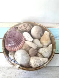 【新品・未使用】かご入り貝殻 ハンドメイド、インテリアに