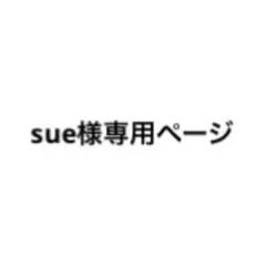 専用ページ