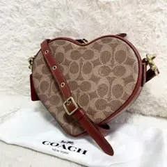 極美品 コーチ ハート ショルダーバッグ シグネチャー ロゴ 金具 チャーム