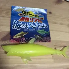 最強リアル 海のいきもの 大集結BOOK