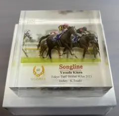 ソングライン　アクリルオブジェ　安田記念　ノーザンホースパーク　競馬　戸崎圭太