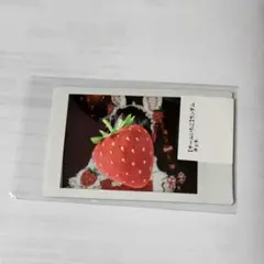 栗原舞優 チームいちご ランダム チェキ
