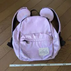 紫系、耳付き、ディズニーリック