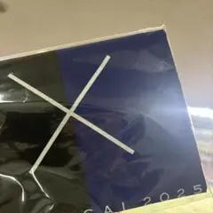 氣志團✕ドラゴンズコラボ手ぬぐい