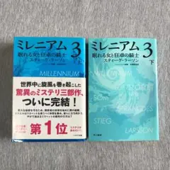ミレニアム３ 眠れる女と狂卓の騎士 上下巻 文庫本2冊セット