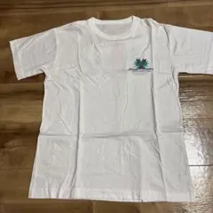 80s 大蛇山tシャツ シングルステッチ お祭りtシャツ 1989 短丈