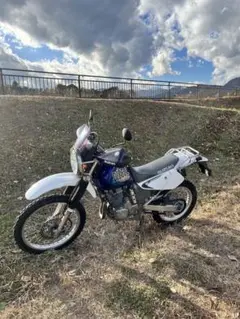 SUZUKI DJEBEL タンク 青 2025年最新】Yahoo!オークション -ジェベル タンクの中古品