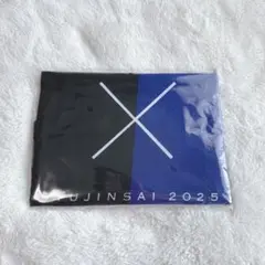 中日ドラゴンズ 竜神祭 氣志團 コラボてぬぐい