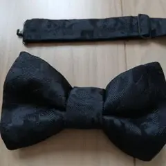 Item thumbnail for item 89f14843-2da2-4884-8796-41a008e65d6a