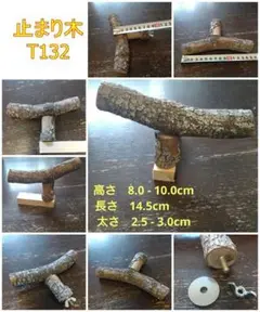 Item thumbnail for item 0cee3ca1-f1fa-4033-917a-ad48c6af0aa4