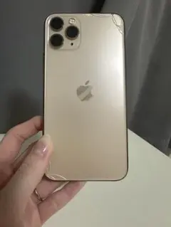 Item thumbnail for item 48a0d5d5-ac17-423c-82cf-803ab1f05dd1