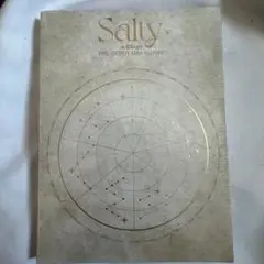 【即購入可能④】n.SSign プレデビューアルバム Salty