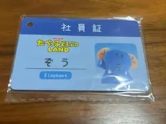 たべっ子どうぶつランド　ぞう 社員証
