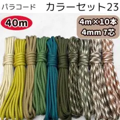 Item thumbnail for item 5e675363-8fb0-4223-b517-dae569ca8745