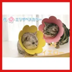 Item thumbnail for item 924119af-a1e0-4d41-865a-d347148ea607