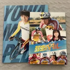 永瀬廉「弱虫ペダル」パンフレット付き